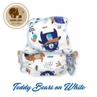 Teddy Bears on white