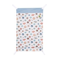 Through the Universe